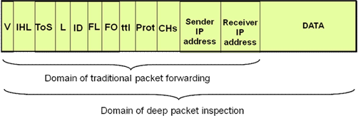 Domain of Deep Packet Inspection